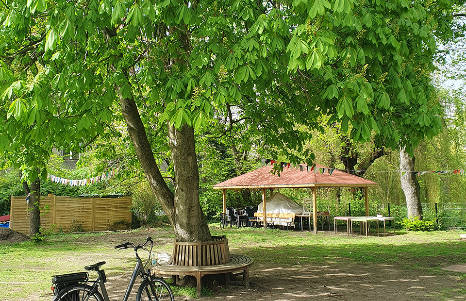 Blick in den Garten