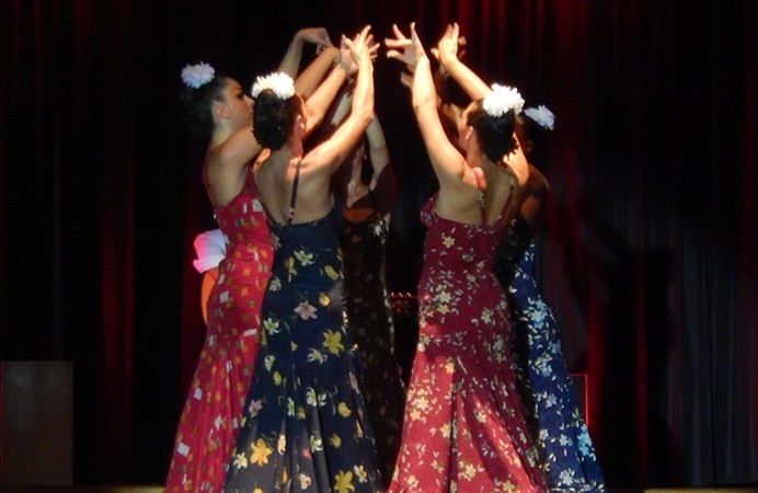 flamenco.jpg